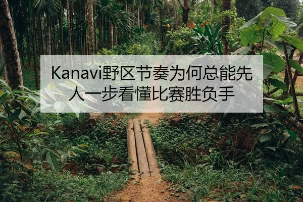 Kanavi野区节奏为何总能先人一步看懂比赛胜负手